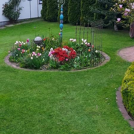 Havel-Pension Kruse Гафельберґ Екстер'єр фото